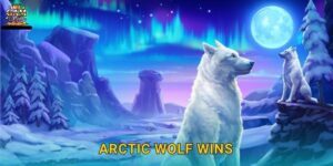 Arctic Wolf Wins băng giá mạnh mẽ – Thách thức tuyết trắng tại Gamvip