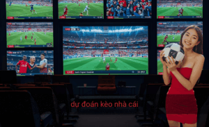 Dự đoán kèo nhà cái