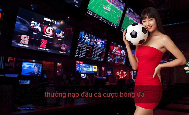 Top 7 nhà cái thưởng nạp đầu cá cược bóng đá khủng nhất 2 thưởng nạp đầu cá cược bóng đá